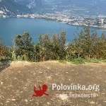 Павел, 38 лет